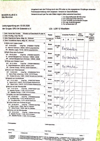 Meldebogen 1 mit 3 x FCI-BH/VT - 1 x FCI-IBHG1 - 1 x FCI-IFH1 - 4 x FCI-IFH3  Ergebnisse stehen auf dem Meldebogen