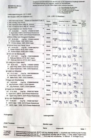 Der / die Meldebögen vom 22. November 2025  - Ergebnisse findet Ihr auch unter dem Menueüunkt Ergebnisse (mehr Infor und Bilder folgen