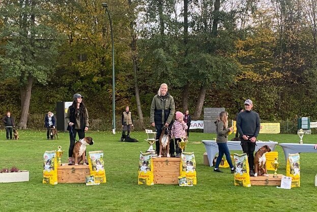 Siegerpodest OB Pokal 2025 -Platz 1 Mareike Loges 289 Punkte - Platz 2 Kathrin Heldt 288 Punkte - Platz 3 Jörg Pohlmann 282 Punkte - Wir gratulieren ganz herzlich !! Siegerpodest OB Pokal 2025 -Platz 1 Mareike Loges 289 Punkte - Platz 2 Kathrin Heldt 288 Punkte - Platz 3 Jörg Pohlmann 282 Punkte - Wir gratulieren ganz herzlich !!