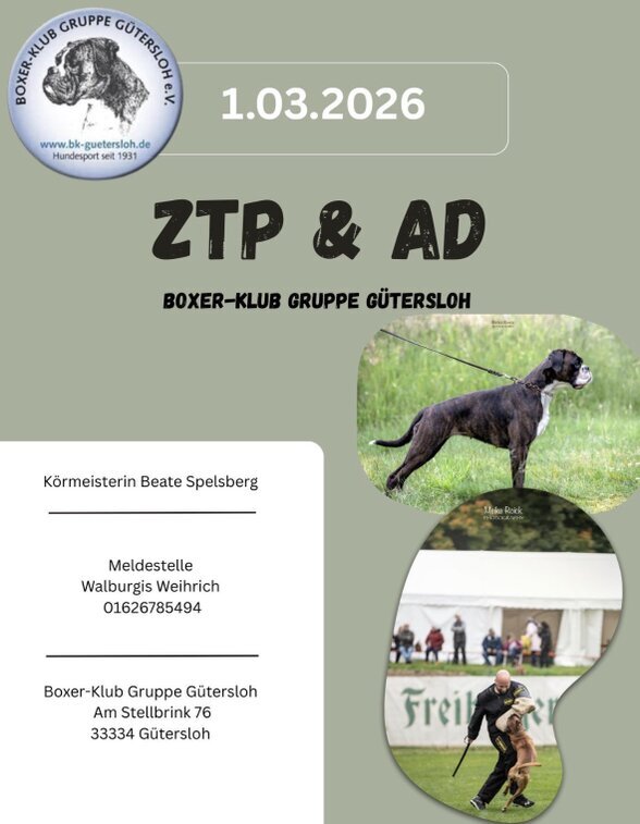 1. März 2026  ZTP + AD Prüfung in der Gruppe Gütersloh - Wir freuen uns auf Eure Meldungen und viele Boxer- und Hundesportliche Menschen.