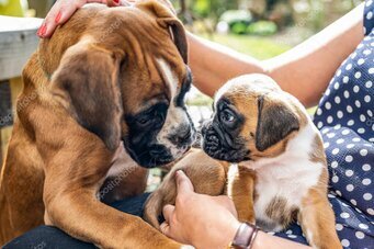 Hier kliclen: Unser aktiven Mitglieder stellen sich vor  -  wer von unseren Mitgliedern neue Bilder platzieren möchte schickt diese bitte mit den notwendigen Informationen an Bernhard