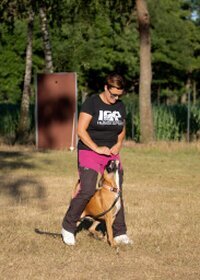 Izzy v. Ritschmühlental WT: 15. August 2021 - Prüfungen: ZTP / AD / FCI - IGP 2  Besitzerin: Jasmin Jäger